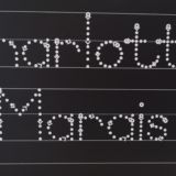 Name and Surname Trace and Wipe Boards